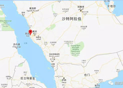 注意丨船公司發布公告,這些貨品禁止進口或經沙特港口中轉!!