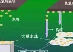 集裝箱里進水，誰的錯？如何預防應對？