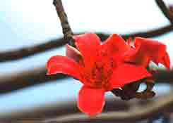 攀枝花保稅倉,保稅區(qū)倉儲(chǔ)物流,公供保稅倉庫,跨境電商綜合服務(wù)平臺(tái)
