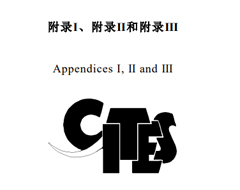 更新！CITES瀕危野生動植物種國際貿易公約目錄