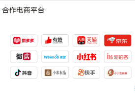 國內跨境電商商城有哪些?進口跨境電商保稅倉庫合作