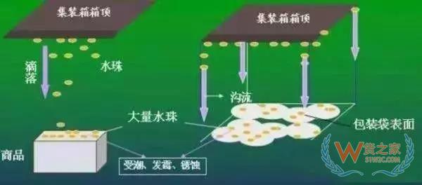 集裝箱里進(jìn)水，誰(shuí)的錯(cuò)？如何預(yù)防應(yīng)對(duì)？貨之家