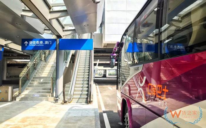 港珠澳大橋通車！哪類車可上橋？貨運如何通關？貨之家