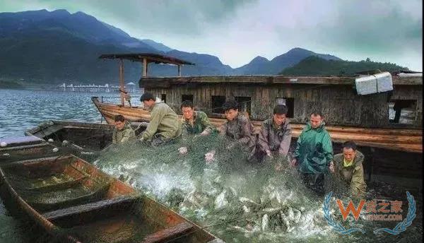 中國有大動作？港口停靠348條船，對澳洲撤資40%，拒絕越南34船魚-貨之家