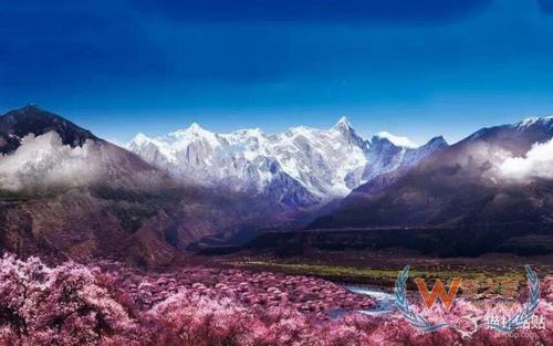 林芝保稅倉,保稅區倉儲物流,進口跨境電商,保稅倉庫管理,跨境電商保稅BBC—貨之家