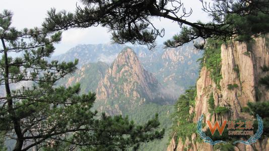 黃山保稅倉,保稅區倉儲,進口跨境電商,保稅倉庫管理,跨境電商綜合服務平臺—貨之家
